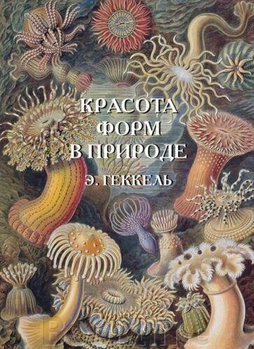 Краса форм у природі від компанії Booktime - фото 1