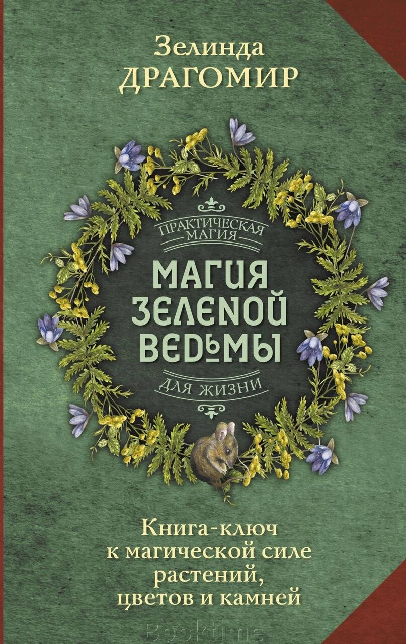 Магія зеленої відьми. Книга-ключ до магічної сили рослин, квітів і каміння від компанії Booktime - фото 1