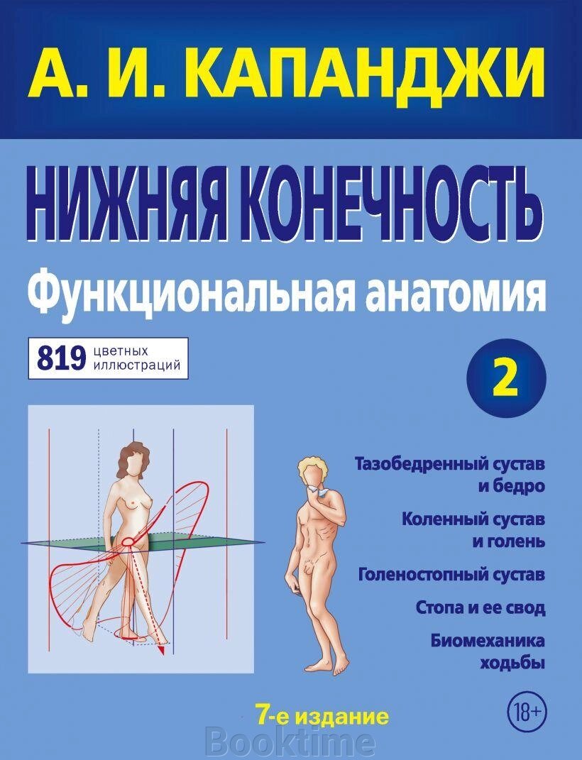 Нижня кінцівка. Функціональна анатомія (оновлене видання) від компанії Booktime - фото 1