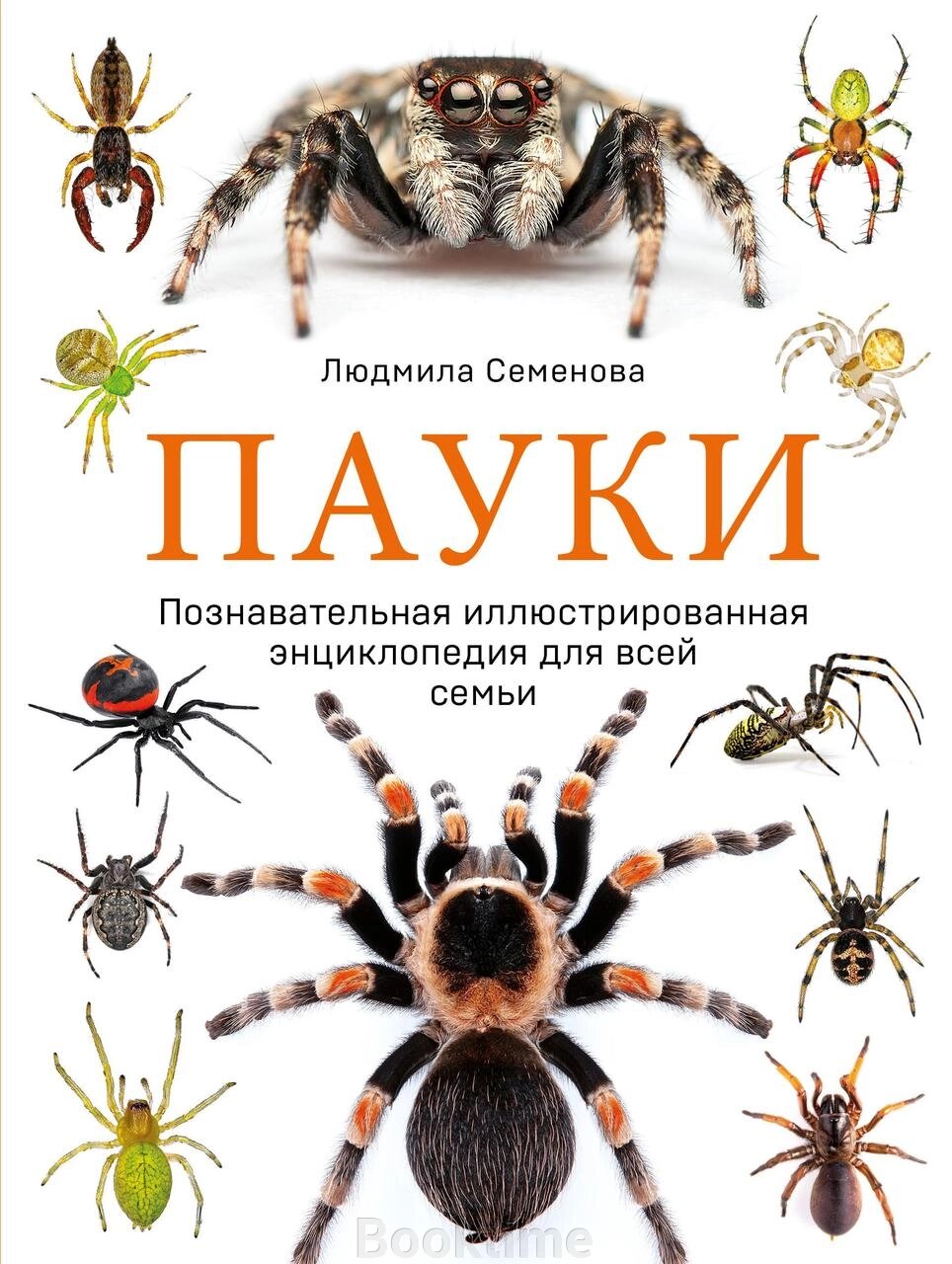 Павуки. Пізнавальна ілюстрована енциклопедія для всієї родини від компанії Booktime - фото 1