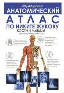 Популярний анатомічний атлас за Нікітою Жуковим. Кістки та м'язи. Інсайди та цікаві факти