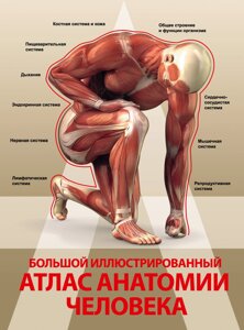 Великий ілюстрований атлас анатомії людини