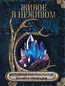 Книга: Живе в неживому. Чарівний світ кристалів, каменів і мінералів