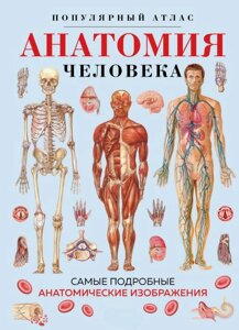 Книга: Анатомія людини. Популярний атлас. Найдетальніші анатомічні зображення