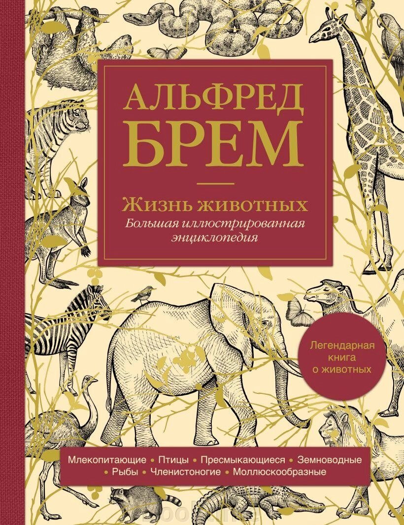 Життя тварин. Велика ілюстрована енциклопедія від компанії Booktime - фото 1