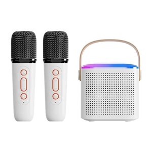 Міні караоке VAORLO портативна Bluetooth колонка бездротова 2 мікрофони