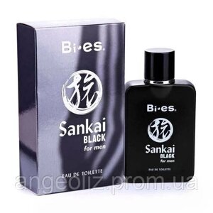 Туалетна вода для чоловіків Bi-es Sankai Black 100 ml