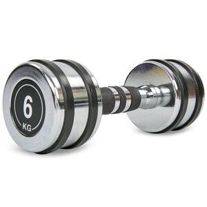 Гантель хромована Rocord TA-8232-6 1шт 6кг