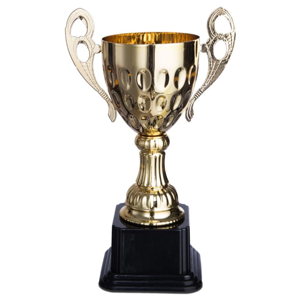 Кубок спортивний з ручками 4045D (метал, пластик, h-24,5 см, b-17см, d чаші-9,5 см, золото) від компанії Спортивний інтернет - магазин "One Sport" - фото 1