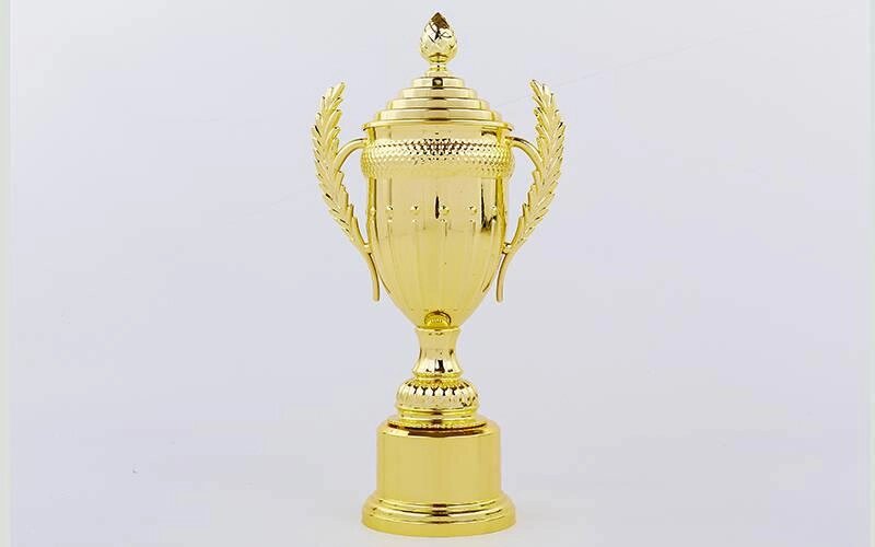 Кубок спортивний з ручками і кришкою AMBITION h-34,5 см C-899-2B (h-34,5 см,b-17см,d чаші-10см, золото) від компанії Спортивний інтернет - магазин "One Sport" - фото 1