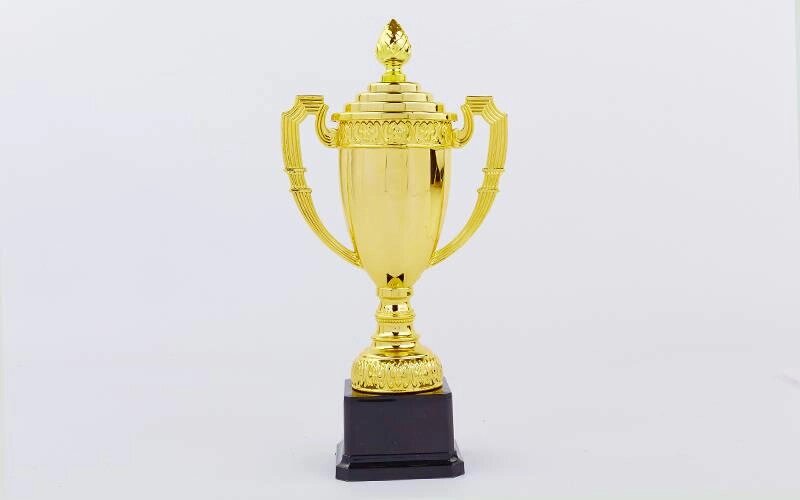 Кубок спортивний з ручками і кришкою CLASSIC C-897C (пластик, h-30см, b-15см, d чаші-8,5 см, золото) від компанії Спортивний інтернет - магазин "One Sport" - фото 1