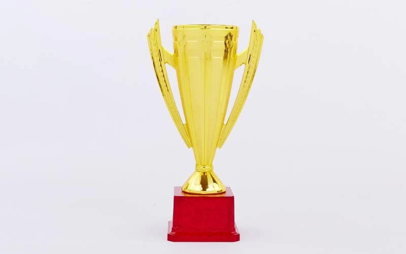 Кубок спортивний з ручками REWARD C-5007B (метал, пластик, h-30,5 см, b-17см, d чаші-9,5 см, золото) від компанії Спортивний інтернет - магазин "One Sport" - фото 1