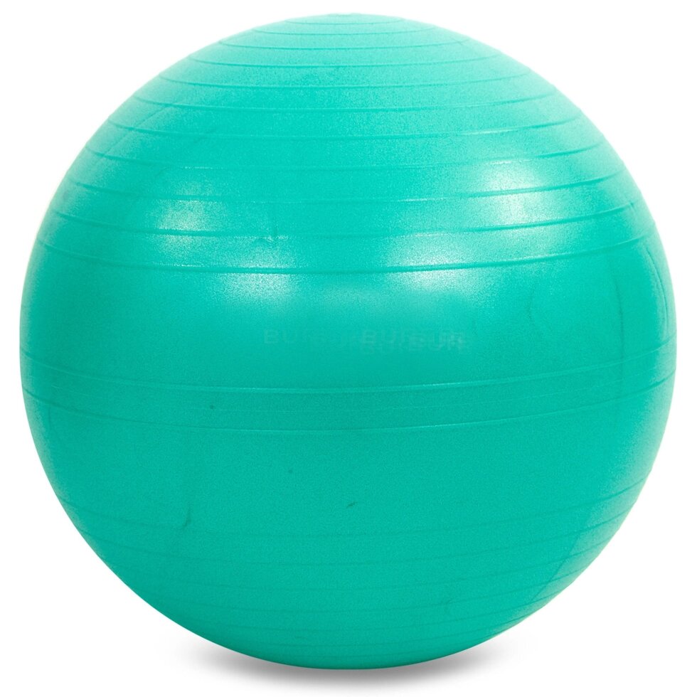 М'яч для фітнесу (фітбол) гладкий сатин 65см Zelart FI-1983-65 (PVC,800г, кольори в асортименті, ABS від компанії Спортивний інтернет - магазин "One Sport" - фото 1