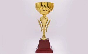 Кубок спортивний C-913C (метал, пластик, h-31см, b-12,5 см, d чаші-12,5 см, золото)