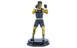 Статуетка (фігурка) нагородна спортивна Бокс Боксер C-1761-A (р-р 27х15х11 см)