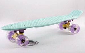 Скейтборд пластиковий Penny LED WHEELS FISH 22in зі світними колесами SK-405-9 (мят-жел-фіоле)