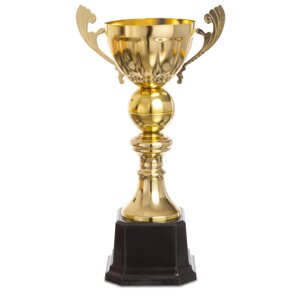 Кубок спортивний з ручками 2173C (метал, пластик, h-34см, b-19см, d чаші-10см, золото)