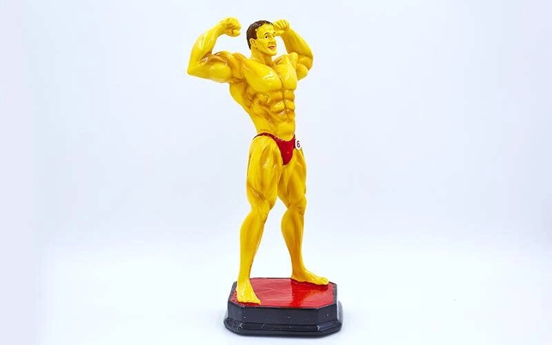 Статуетка (фігурка) нагородна спортивна Бодібілдинг Бодібілдер C-2245-A8 (р-р 27х14х12см) від компанії Спортивний інтернет - магазин "One Sport" - фото 1