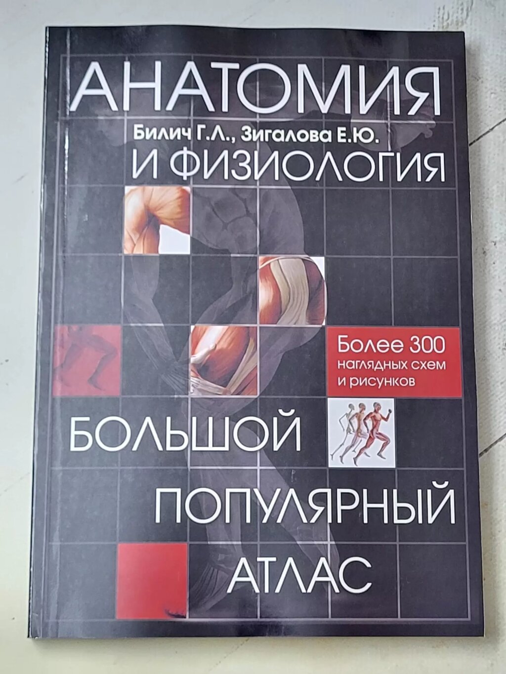 Біліч Г. Л., Зігалова О. Ю. "Анатомія та фізіологія. Великий популярний атлас" від компанії ФОП Роменський Р, Ю. - фото 1