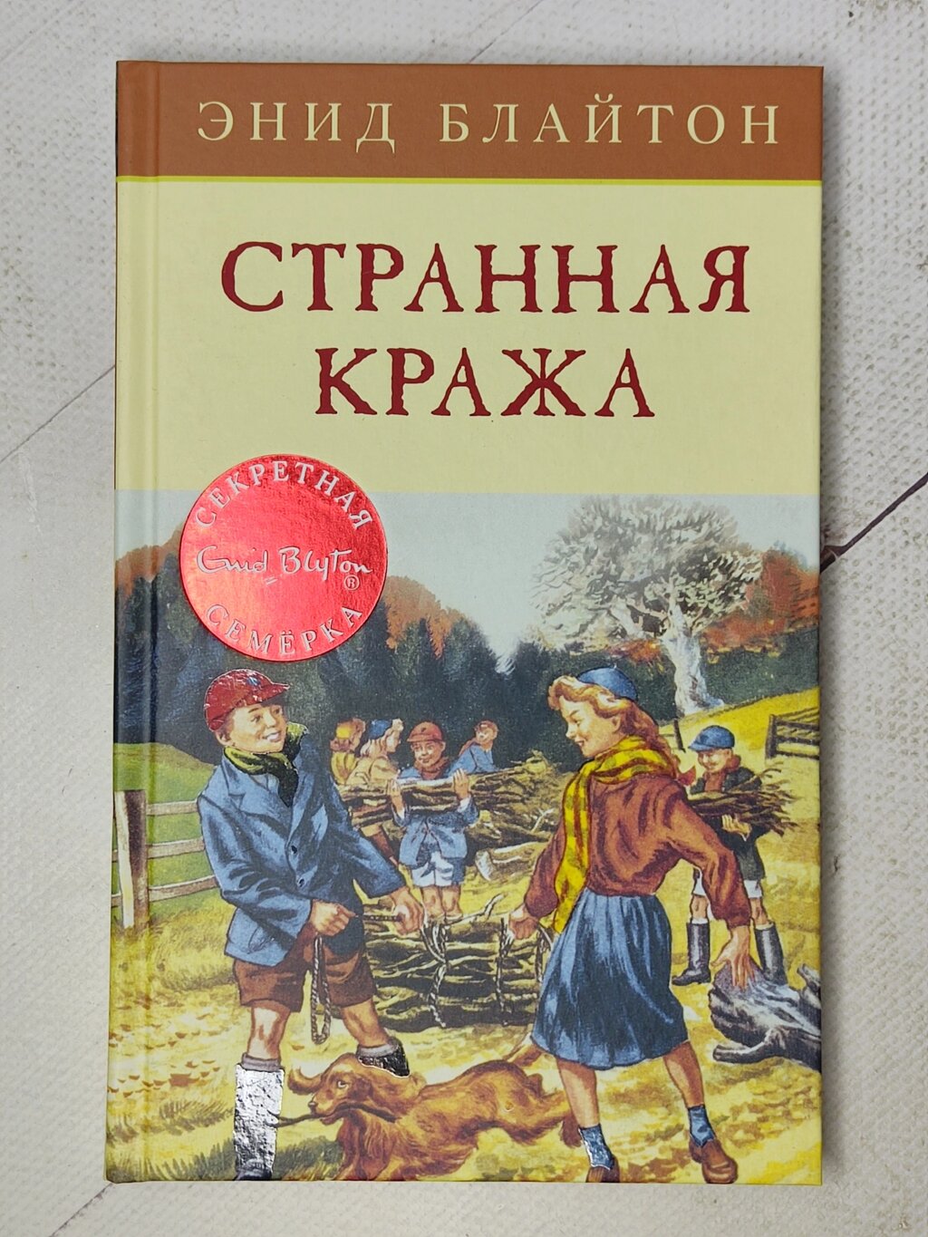 Енід Блайтон "Дивна крадіжка" від компанії ФОП Роменський Р, Ю. - фото 1