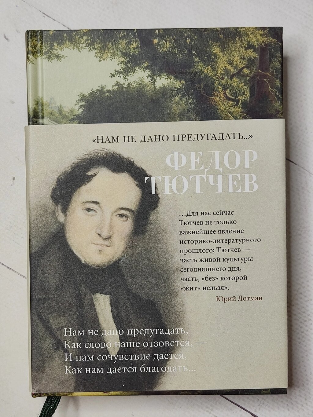 Федір Тютчев "Нам не дано передбачити..." від компанії ФОП Роменський Р, Ю. - фото 1