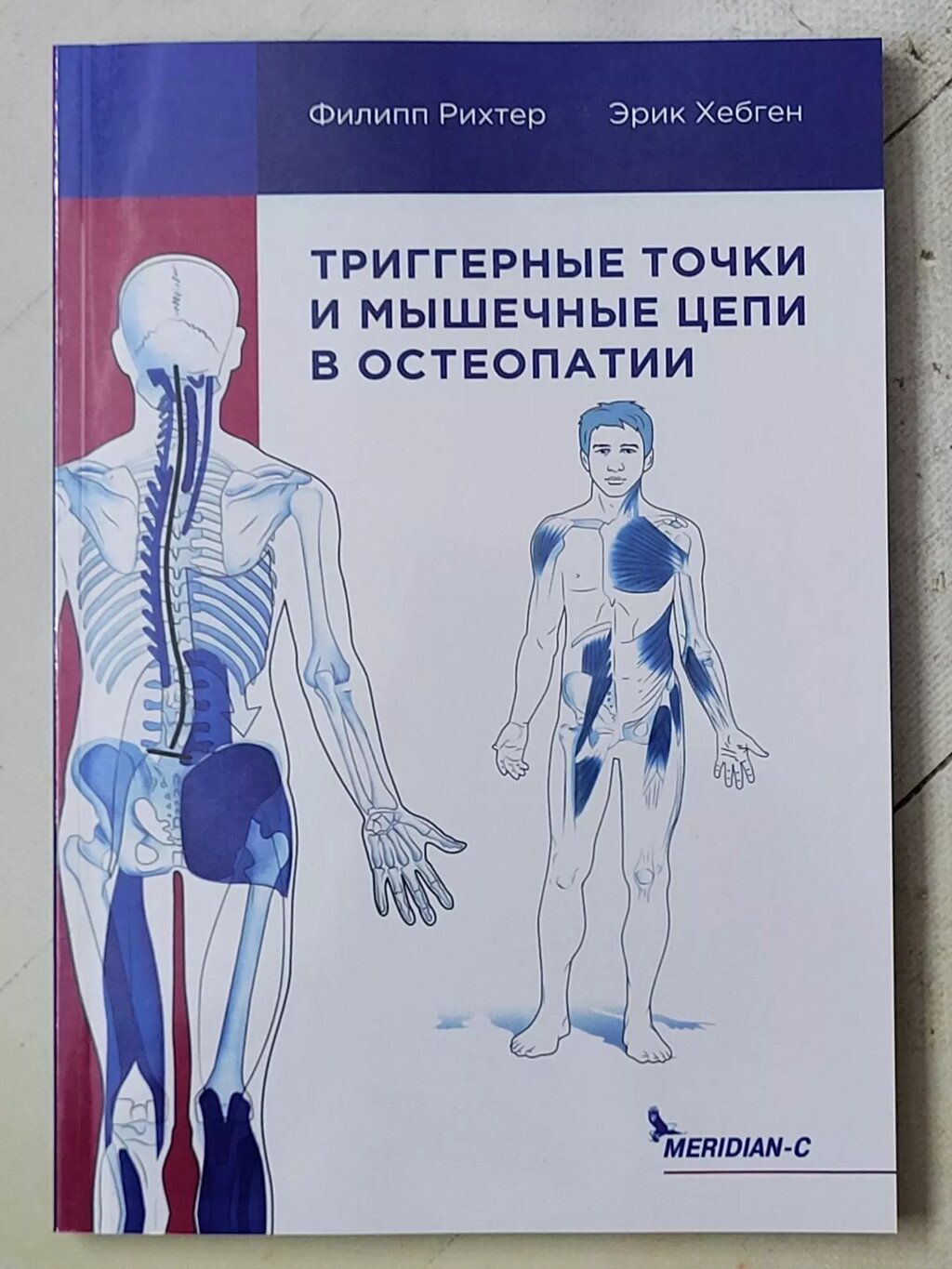 Філіп Ріхтер, Ерік Хебген "Тригерні точки та м'язові ланцюги в остеопатії" від компанії ФОП Роменський Р, Ю. - фото 1