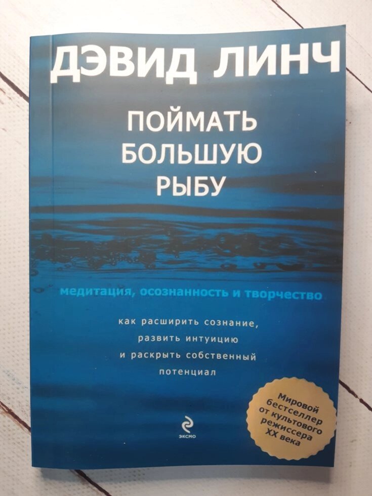 Лінч Д. "Спіймати велику рибу. Медитація, усвідомленість, творчість" від компанії ФОП Роменський Р, Ю. - фото 1