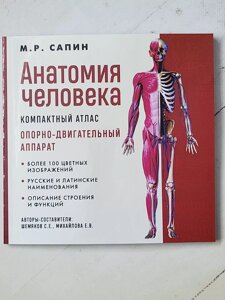 М. Р. Сапін "Анатомія людини. Компактний атлас. Опорно-руховий апарат"