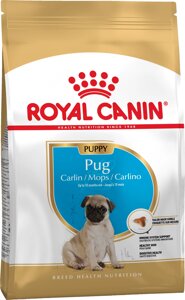 Корм для цуценят породи Мопс Royal Canin Pug Puppy 1,5 кг