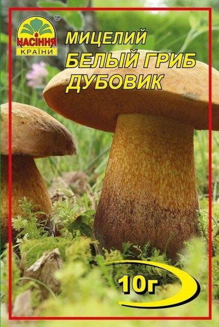 Міцелій грибів Насіння країни Білий гриб Дубовик 10 р від компанії Придбай - фото 1