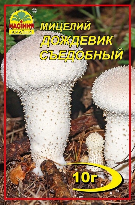 Міцелій грибів Насіння країни Дощовик їстівний 10 р від компанії Придбай - фото 1