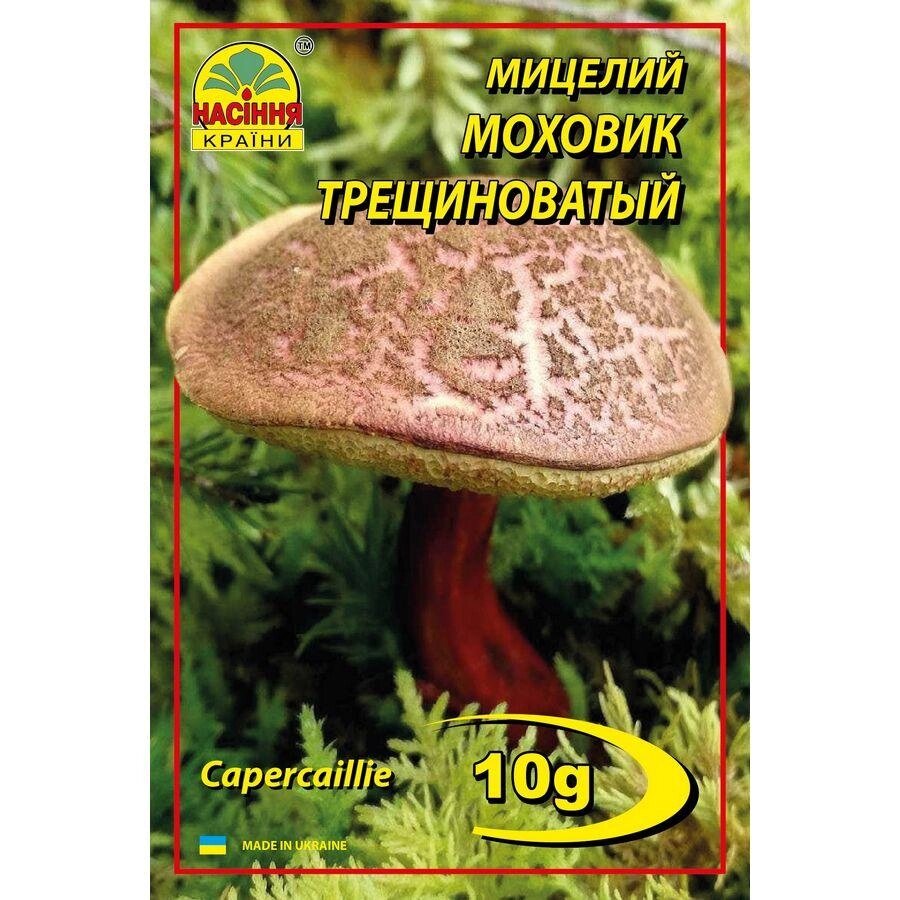 Міцелій грибів Насіння країни Моховик тріщинуватий строкатий 10 р від компанії Придбай - фото 1