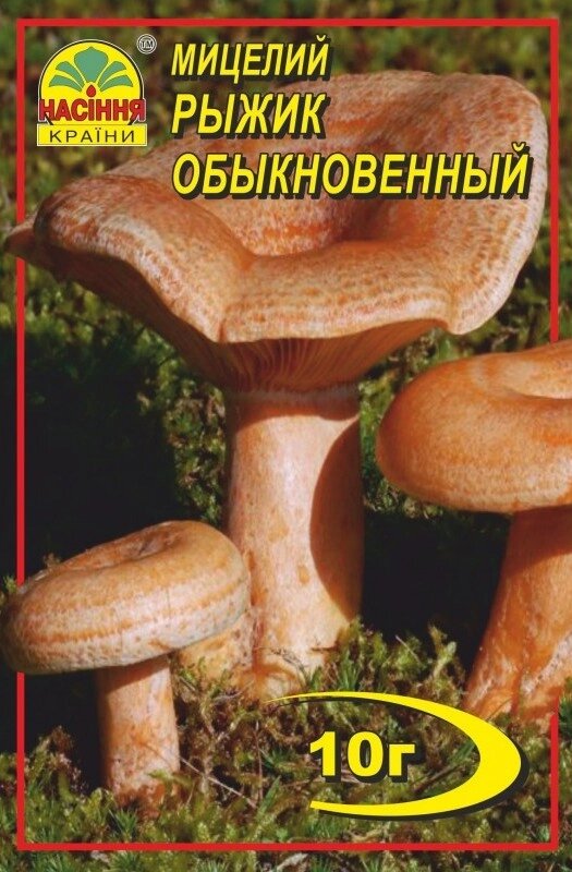 Міцелій грибів Насіння країни Рижик 10 р від компанії Придбай - фото 1