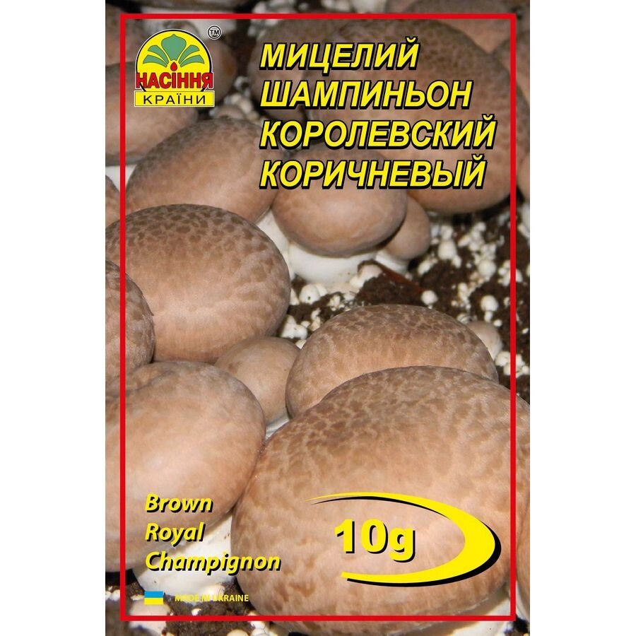 Міцелій грибів Насіння країни Шампіньйон королівський коричневий 10 г від компанії Придбай - фото 1