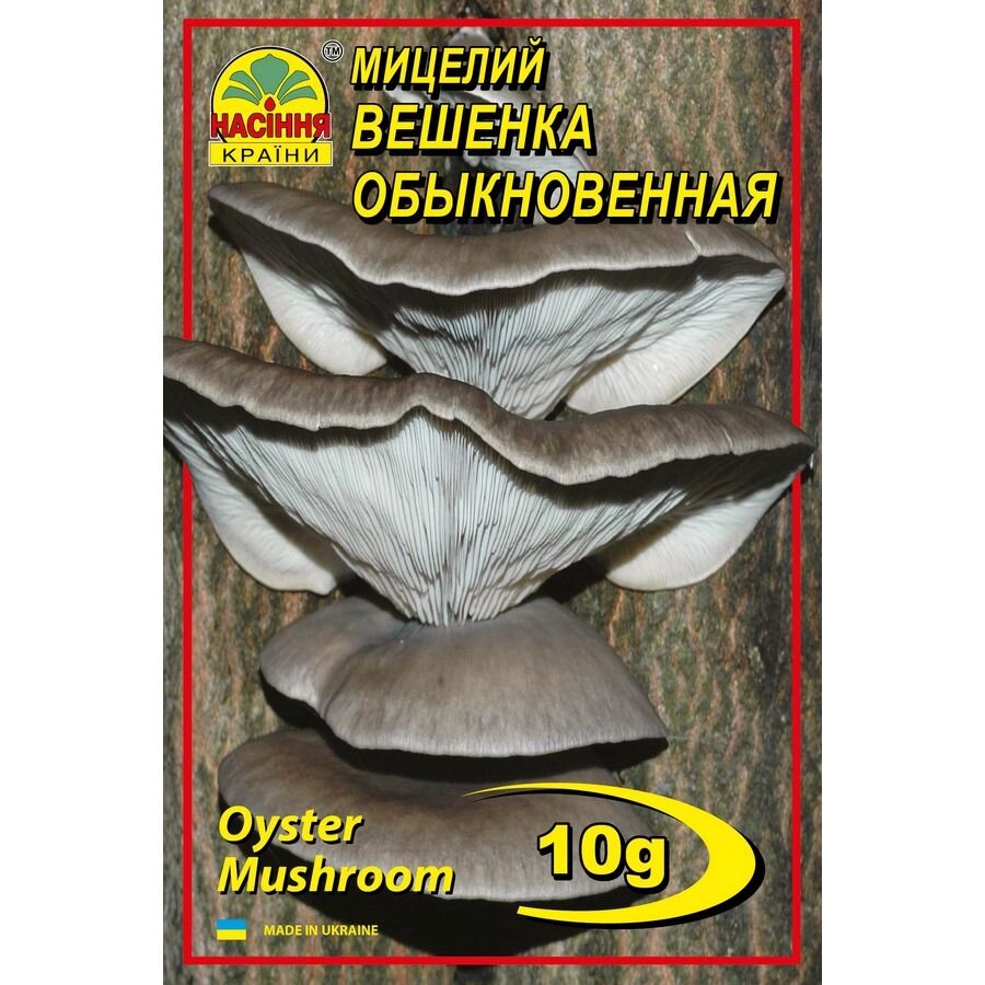 Міцелій грибів Насіння країни Вешенька звичайна 10 г від компанії Придбай - фото 1