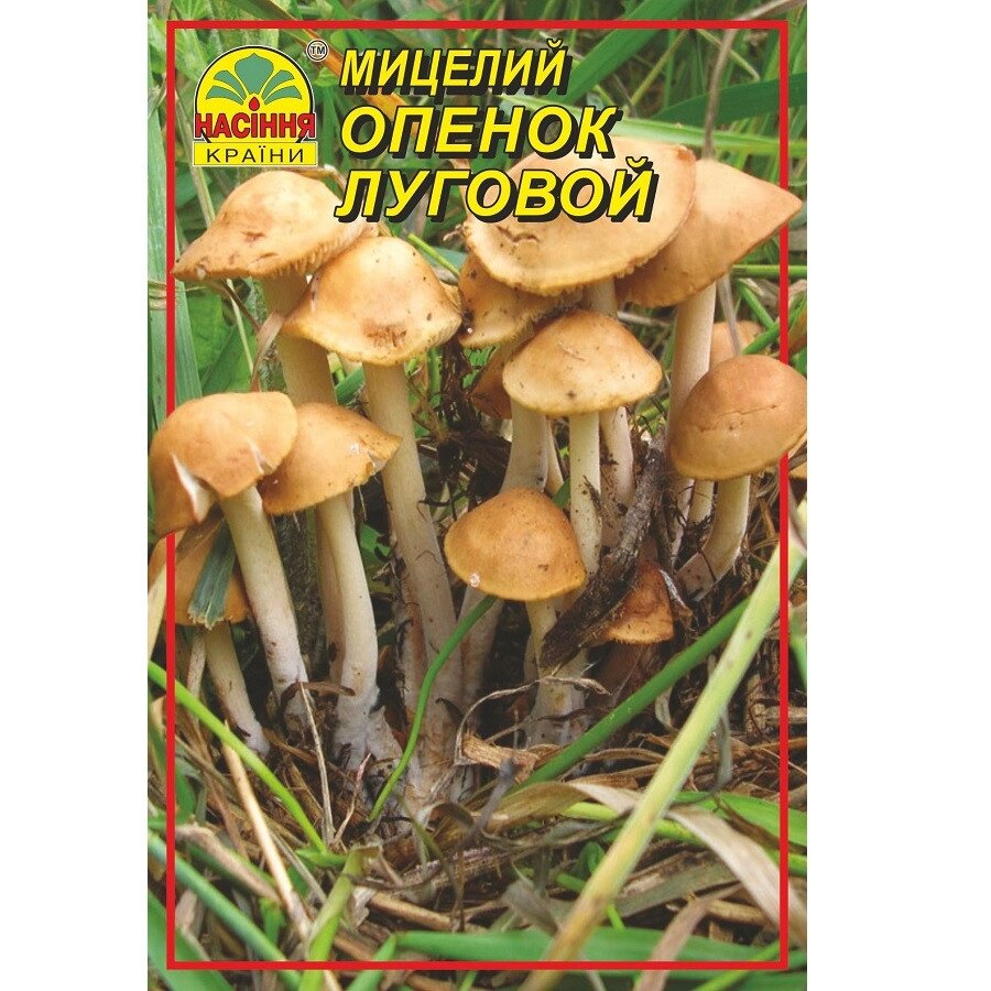 Мицелий грибов Насіння країни Опенок луговой 10 г від компанії Придбай - фото 1