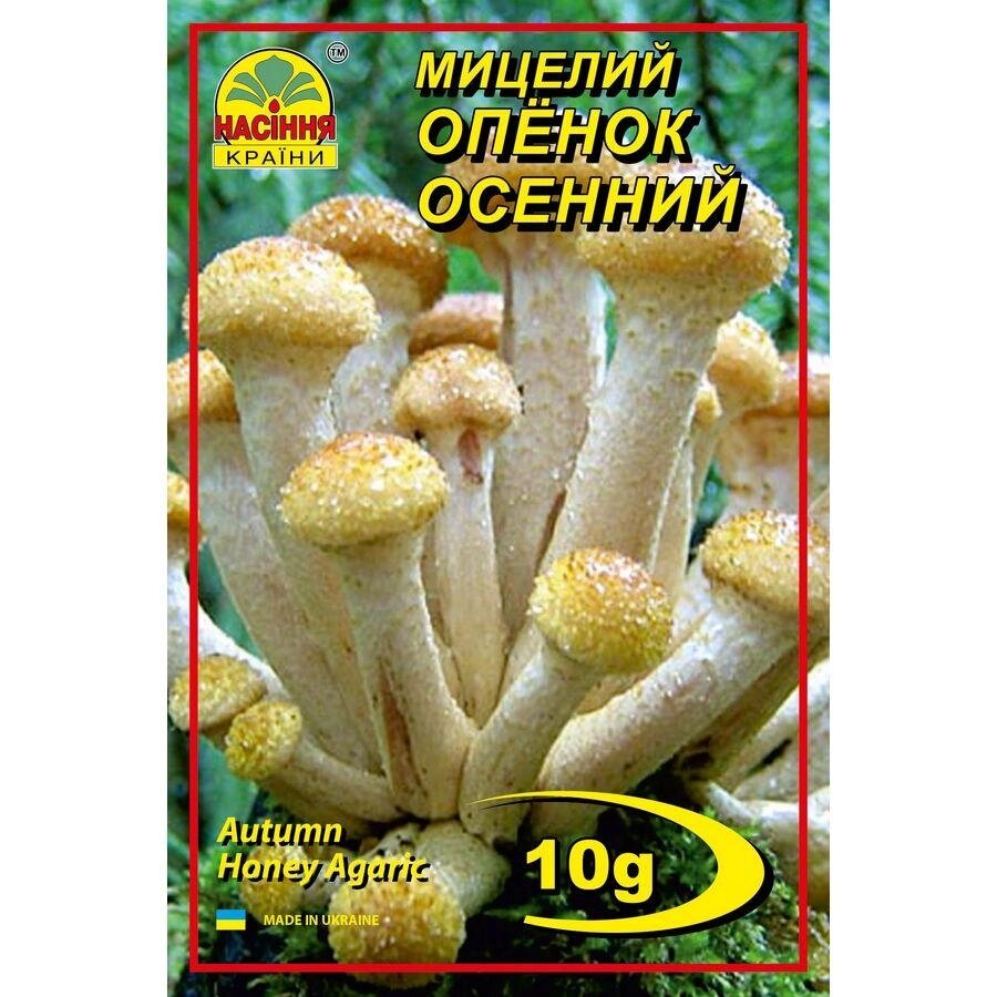 Мицелий грибов Насіння країни Опенок осенний 10 г від компанії Придбай - фото 1