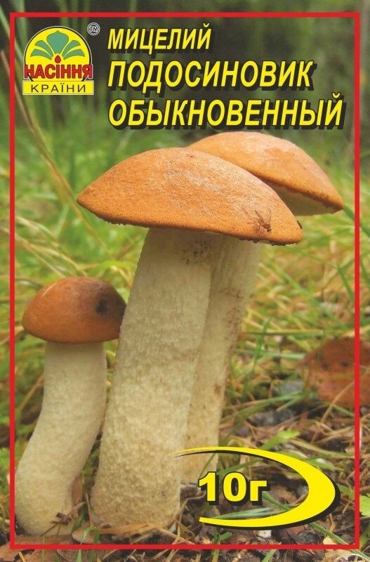 Мицелий грибов Насіння країни Подосиновик 10 г від компанії Придбай - фото 1