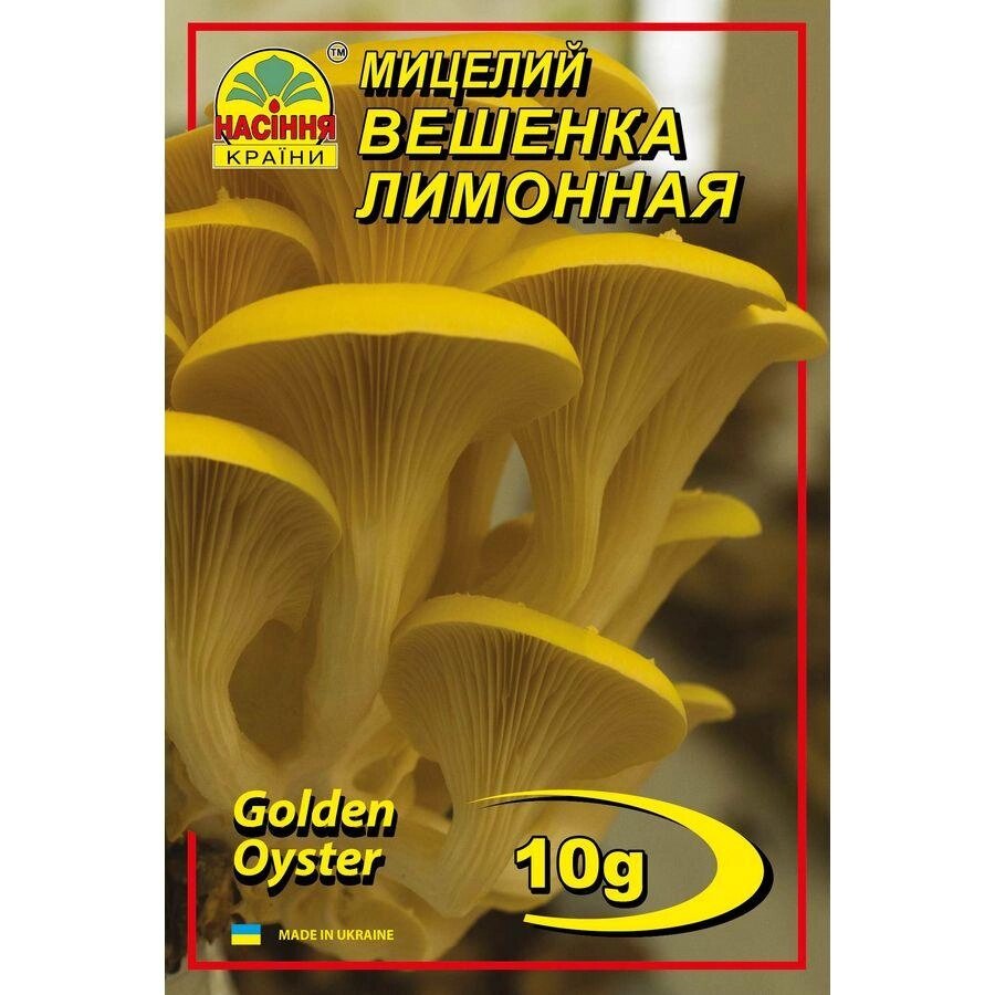 Мицелий грибов Насіння країни Вешенка лимонная 10 г від компанії Придбай - фото 1