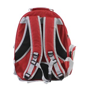 Рюкзак-переноска Taotaopets 253304 Panoramic Red 35х25х42cm з ілюмінатором