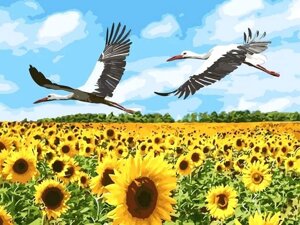 Діамантова мозаїка на підрамнику Поле 40x30см Повна зашивка