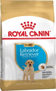 Корм для цуценят породи Лабрадор-Ретрівер Royal Canin Labrador Retriever Puppy 12 кг