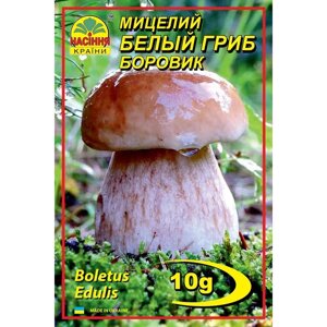 Міцелій грибів Насіння країни Білий гриб Боровик 10 р