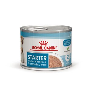 Вологий корм для цуценят та вагітних собак Royal Canin Starter Mousse Mother Babydog 195 г