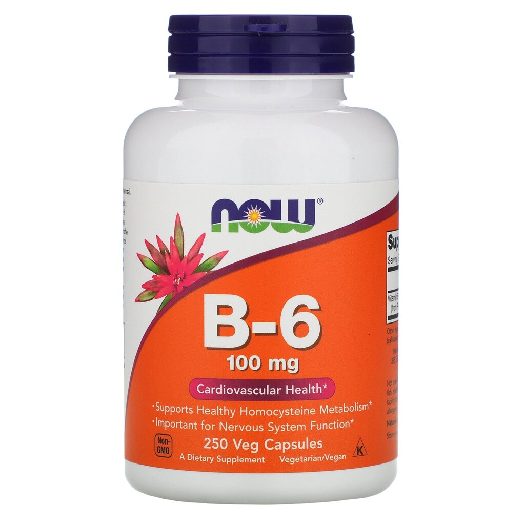 Пірідоксін NOW Foods Vitamin B-6 100 mg 250 Caps від компанії Придбай - фото 1