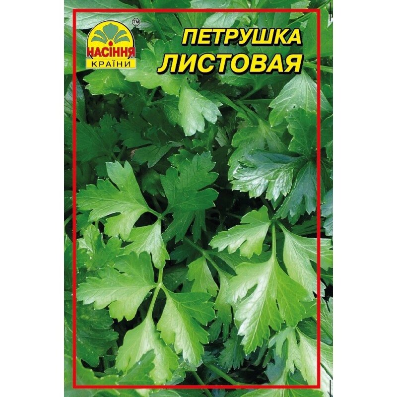 Семена петрушки листовой Насіння країни 0,5 кг від компанії Придбай - фото 1