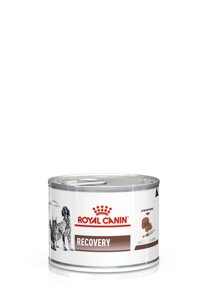 Вологий корм для котів та собак Royal Canin Recovery у період відновлення після хвороби 195 р