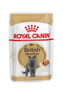 Вологий корм для кішок породи Британська короткошерста Royal Canin British Shorthair 85