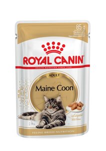 Вологий корм для котів породи Мейн-кун Royal Canin Maine Coon 85