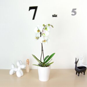 Горщик-кашпо для квітів DH-flowers-24 L WHITE